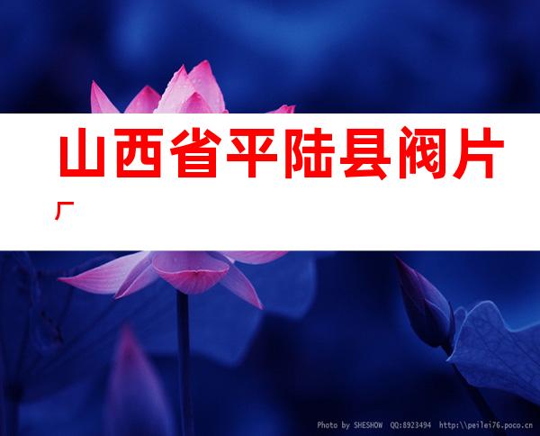 山西省平陆县阀片厂